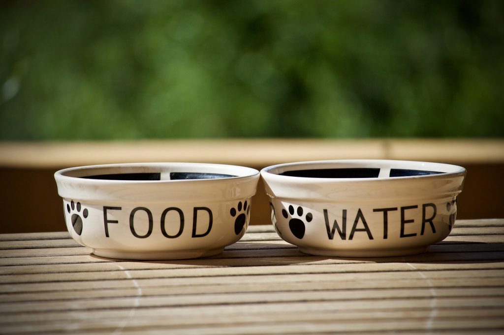 ظرف آب و غذا-سگ