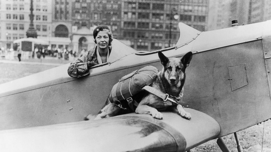 سگ-جنگ جهانی-بریتانیا
