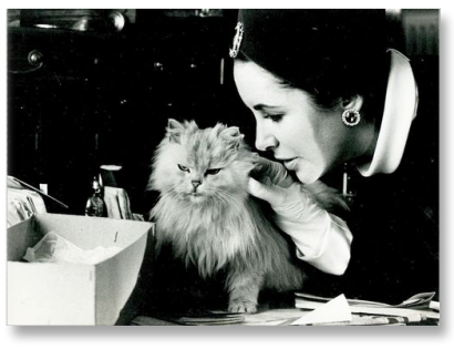 الیزابت تیلور-گربه